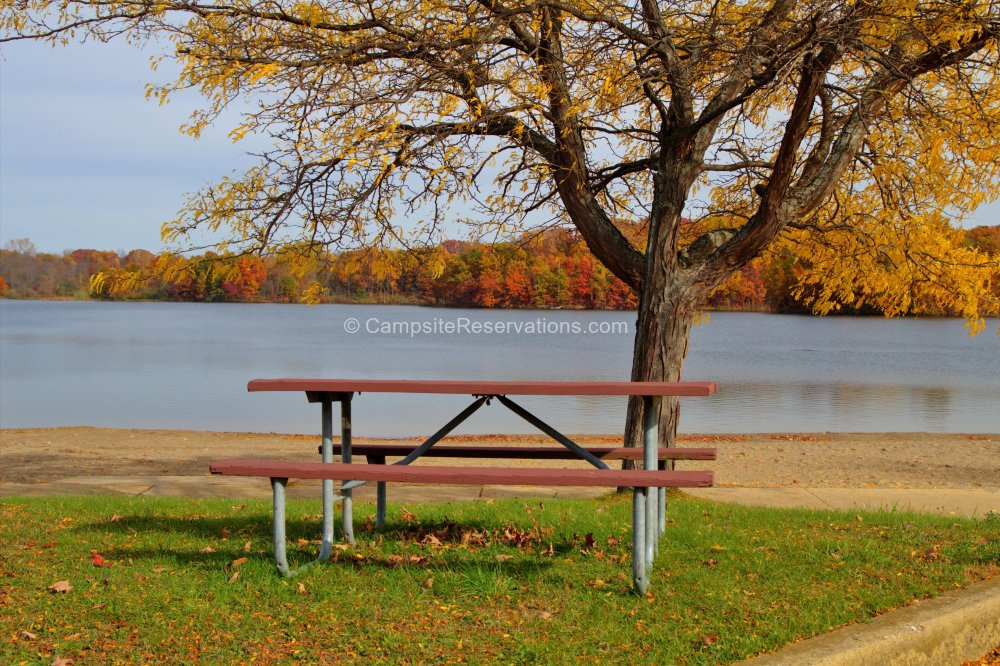 Seven Lakes State Park Michigan United States   Seven Lakes State Park Picnic Table On The Shores Of Big Seven Lake CID8261 